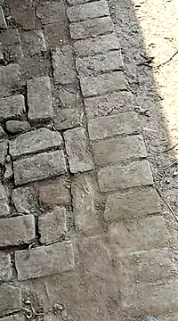 Snapshot of xmanrawan2 chatting on 02-03-25, 07:18 xmanrawan2 online show from 02-03-25, 07:18