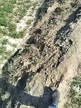 Snapshot of xmanrawan2 chatting on 02-04-25, 07:29 xmanrawan2 online show from 02-04-25, 07:29