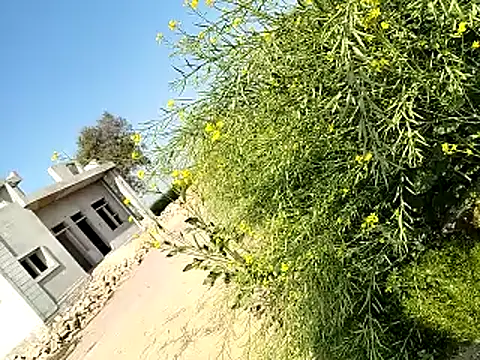 Snapshot of xmanrawan2 chatting on 02-06-25, 06:29 xmanrawan2 online show from 02-06-25, 06:29