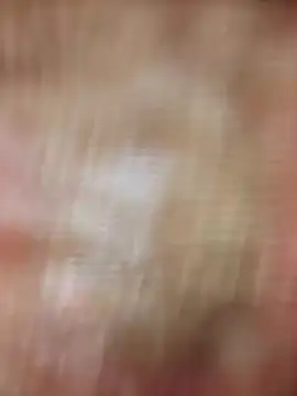 Snapshot of xmanrawan2 chatting on 02-20-25, 08:39 xmanrawan2 online show from 02-20-25, 08:39