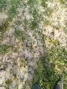 Snapshot of xmanrawan2 chatting on 03-14-25, 11:34 xmanrawan2 online show from 03-14-25, 11:34