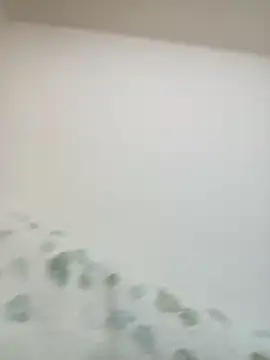 Snapshot of 1997YuMa chatting on 03-20-25, 10:51 1997YuMa online show from 03-20-25, 10:51