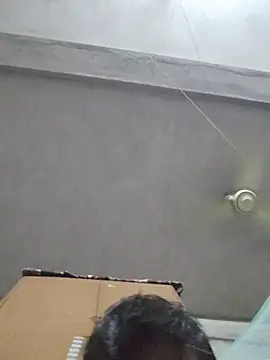 birds0641 online show from 10-12-25, 05:56