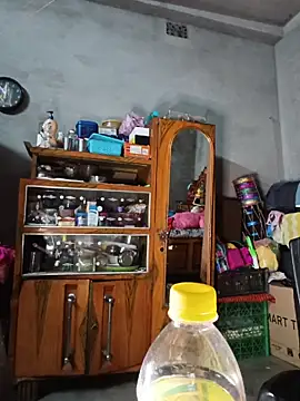 birds0641 online show from 07-31-26, 06:29
