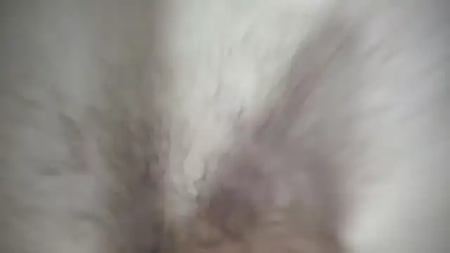 Ivyrose4999 online show from 01-12-25, 05:11