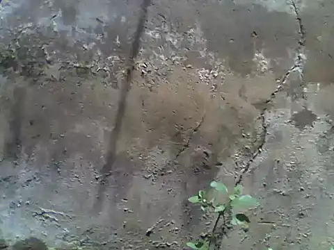 nee2526 online show from 03-05-26, 10:00