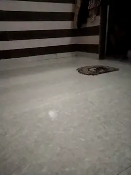 sdfuubjkn online show from 04-28-26, 03:55