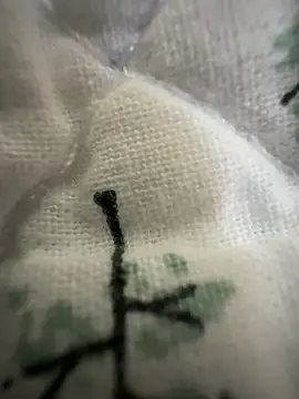 Snapshot of sissyboijamie1313 chatting on 02-28-26, 08:54 sissyboijamie1313 online show from 02-28-26, 08:54