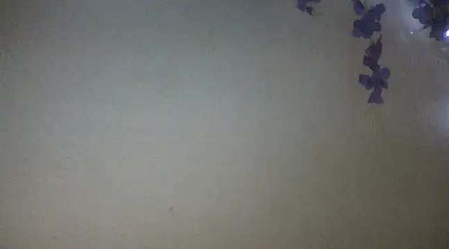 xxsexycutexxx online show from 02-18-25, 06:04