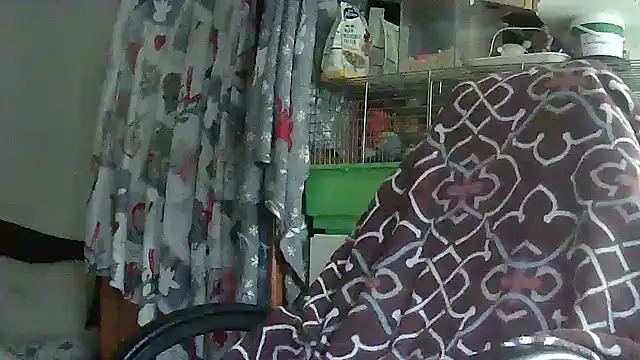 Cicamica12 online show from 05-15-26, 04:25