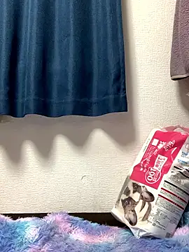 Snapshot of PINO_pino_01 chatting on 11-24-25, 05:45 PINO pino 01 online show from 11-24-25, 05:45