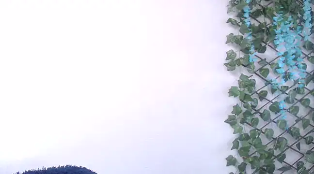 7 Saturno 7 online show from 02-13-25, 12:43