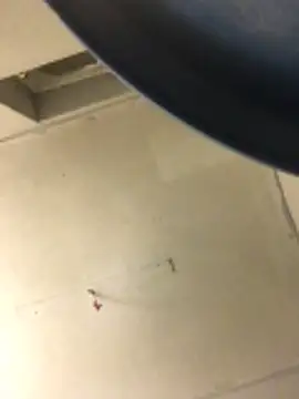 Snapshot of cumcum94 chatting on 02-17-26, 07:53 cumcum94 online show from 02-17-26, 07:53