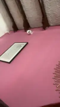 Snapshot of Valu_euphoria chatting on 11-28-25, 08:22 Valu euphoria online show from 11-28-25, 08:22