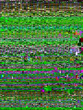 Uncleuncutmushroom online show from 07-14-26, 07:57