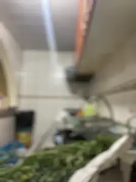 Carola-Ross online show from 03-24-26, 05:40