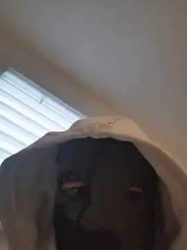 Snapshot of Bigdick420anal chatting on 02-04-26, 06:41 Bigdick420anal online show from 02-04-26, 06:41