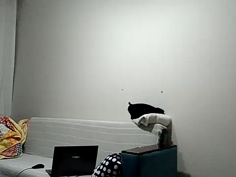 BellBort online show from 03-03-26, 07:42