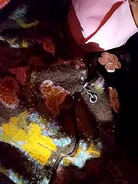 Snapshot of PPP_25 chatting on 11-14-25, 01:54 PPP 25 online show from 11-14-25, 01:54