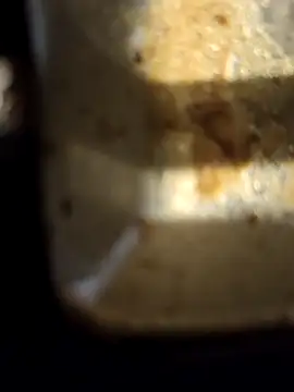 Snapshot of Loly2025 chatting on 02-20-25, 02:35 Loly2025 online show from 02-20-25, 02:35