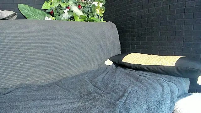 Snapshot of IngAdn chatting on 03-02-25, 04:53 IngAdn online show from 03-02-25, 04:53