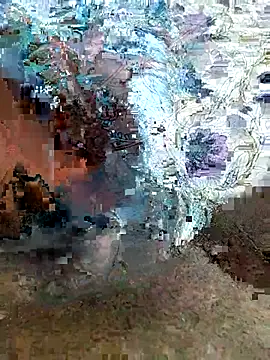 desi pb02 online show from 07-16-26, 03:51
