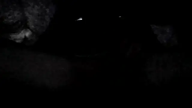 MaryundFling online show from 09-18-25, 03:52