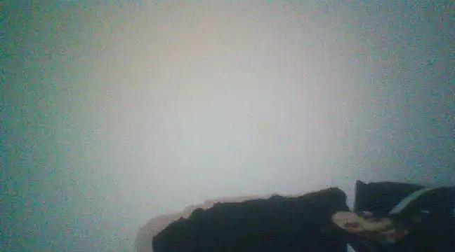 Snapshot of Otravidacol chatting on 02-20-25, 01:46 Otravidacol online show from 02-20-25, 01:46