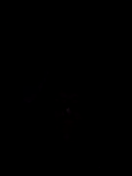 Nidge251 online show from 11-04-25, 05:28