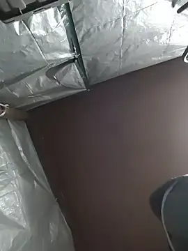 HTXBELLE online show from 12-05-25, 02:42