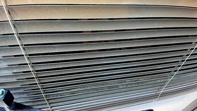 Snapshot of SaraClub_JY chatting on 10-21-25, 10:43 SaraClub JY online show from 10-21-25, 10:43