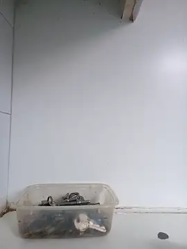 xxTatiannaxx online show from 02-28-25, 12:09