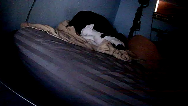 Snapshot of PornStro921 chatting on 02-11-26, 08:25 PornStro921 online show from 02-11-26, 08:25