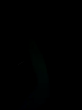 SunnY-0124xh online show from 02-25-25, 05:47