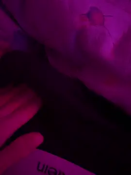 mario 6 9 9 0 online show from 03-07-25, 08:55