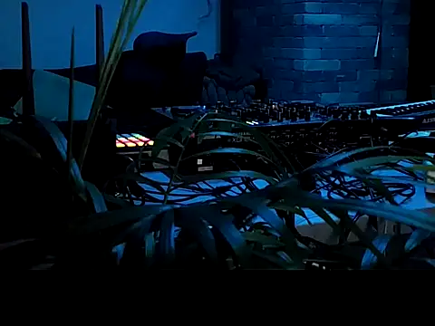 gryzoon online show from 06-29-26, 12:39