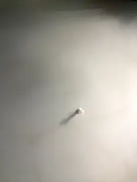 Snapshot of 1Zoey101 chatting on 12-18-25, 06:19 1Zoey101 online show from 12-18-25, 06:19