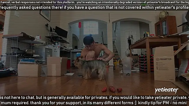 Snapshot of yetieater chatting on 03-16-25, 05:07 yetieater online show from 03-16-25, 05:07