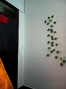 Neha-Bhabhi-Rasily online show from 11-27-25, 05:20