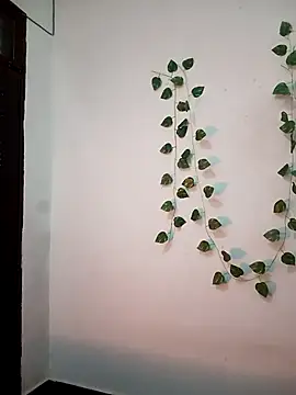 Neha-Bhabhi-Rasily online show from 02-20-26, 11:11