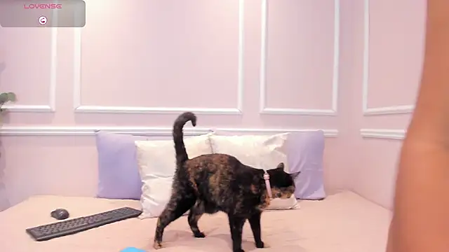 Lucy Canel online show from 01-31-26, 07:11