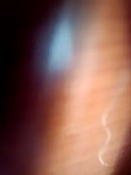 Snapshot of gordiricosv chatting on 02-14-26, 09:44 gordiricosv online show from 02-14-26, 09:44