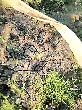 himvilohi08 online show from 03-21-26, 12:32