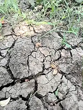 himvilohi08 online show from 04-01-26, 05:08