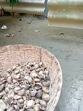 Sexy-nandani-baby online show from 11-22-25, 06:56