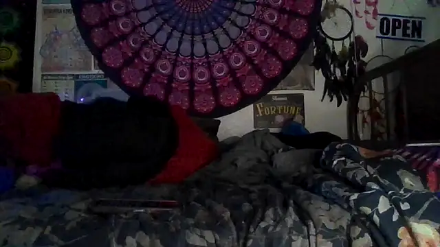 Snapshot of GardeniaFields chatting on 02-09-26, 08:40 GardeniaFields online show from 02-09-26, 08:40