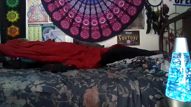 Snapshot of GardeniaFields chatting on 02-11-26, 04:50 GardeniaFields online show from 02-11-26, 04:50