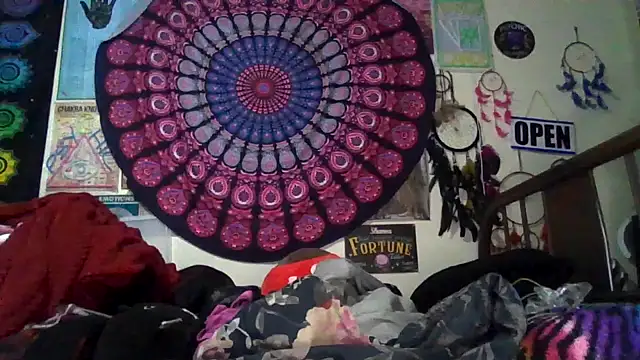 Snapshot of GardeniaFields chatting on 02-24-26, 08:56 GardeniaFields online show from 02-24-26, 08:56