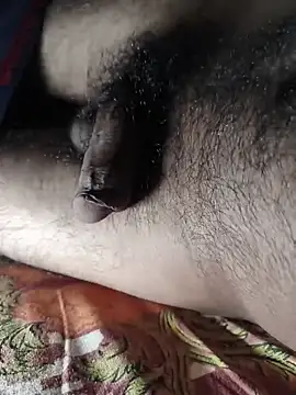 Mr skywalker online show from 03-28-26, 11:32