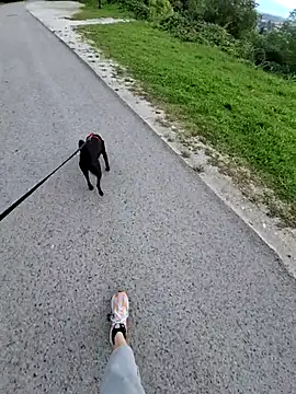 Snapshot of svenpfeifer chatting on 09-16-25, 06:58 svenpfeifer online show from 09-16-25, 06:58